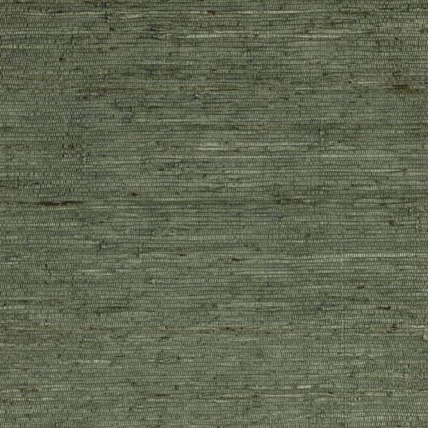 Papier Peint Arrowroot