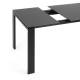 Table Four Extensible