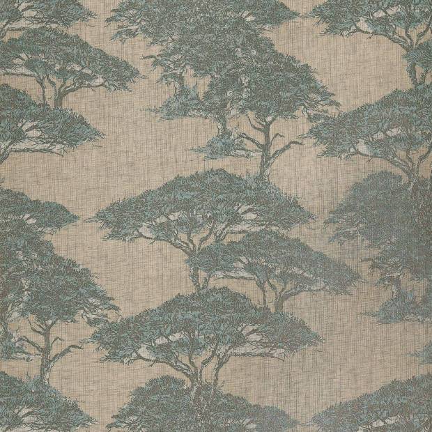 Papier Peint Torrey Pines
