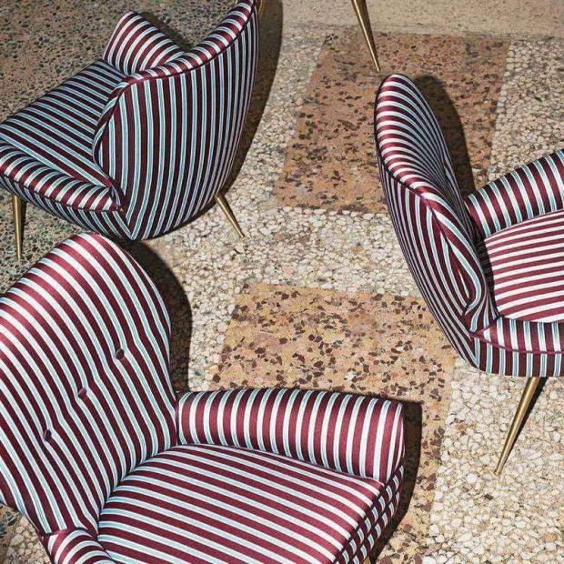 Tissu Alumnus