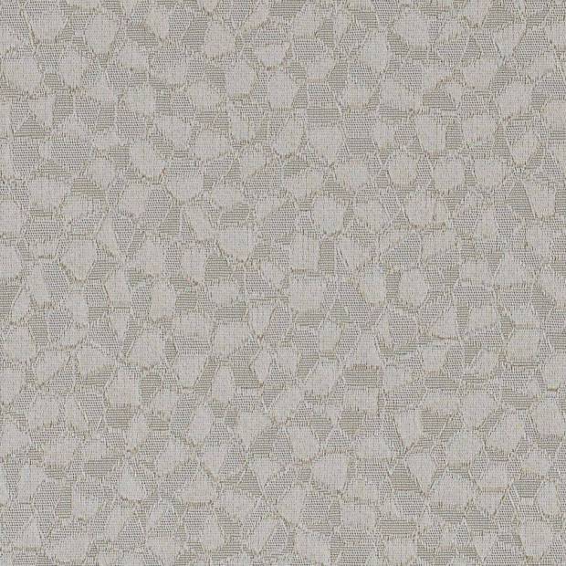 Tissu Argento Silk