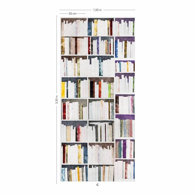 Papier Peint Panoramique Bibliothèque (S)