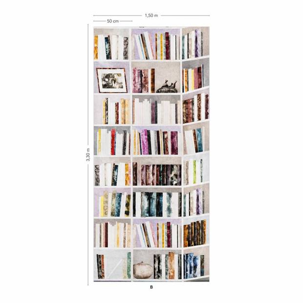 Papier Peint Panoramique Bibliothèque (S)