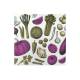Lot de serviette papier veggie mania
