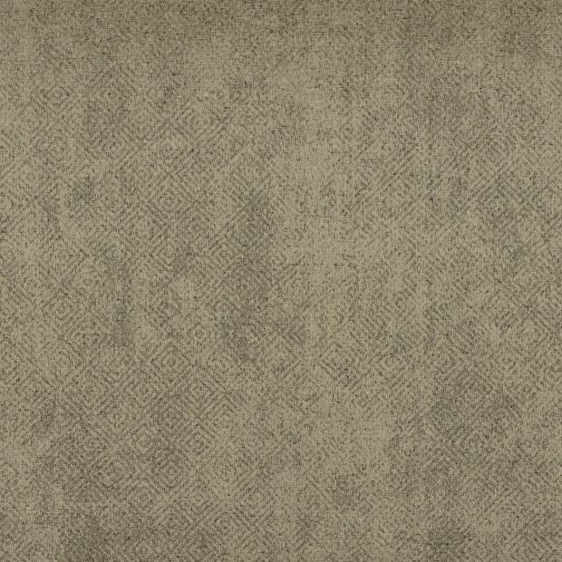 Tissu Sessile