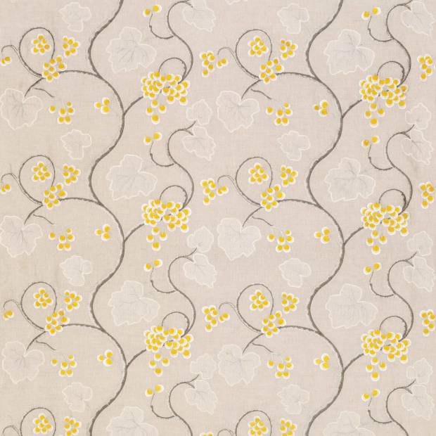 Tissu Shiraz