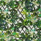 Tissus Canopy
