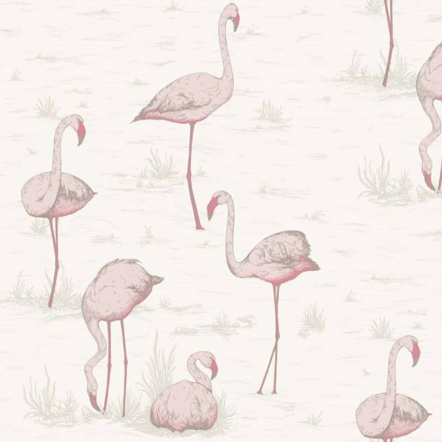 Papier peint Flamingos