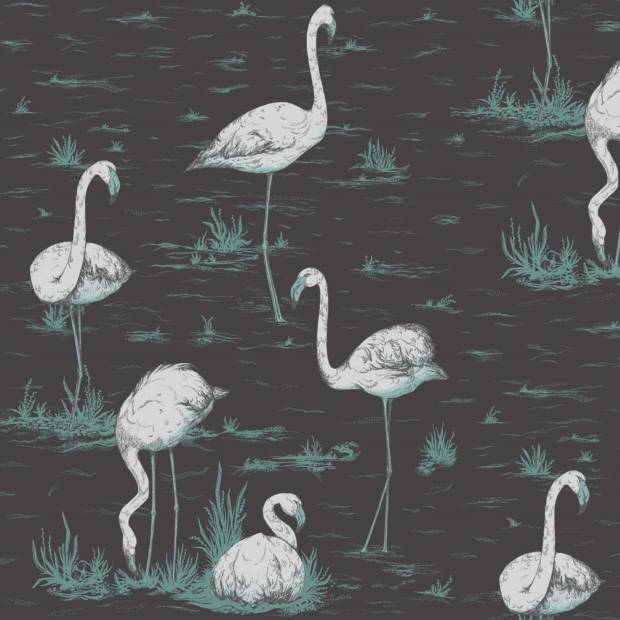 Papier peint Flamingos