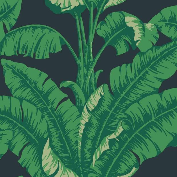 Papier Peint La Havane